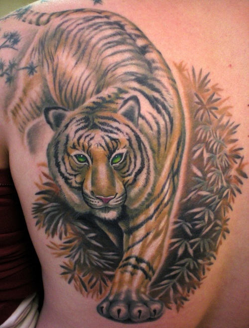 Tiger Tattoo on Back