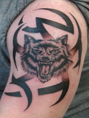 Angry Wolf Tattoo on Arm