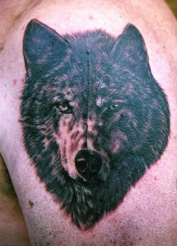 Beautiful Wolf Tattoo