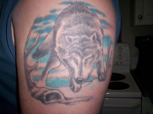 Wolf Tattoo on Arm