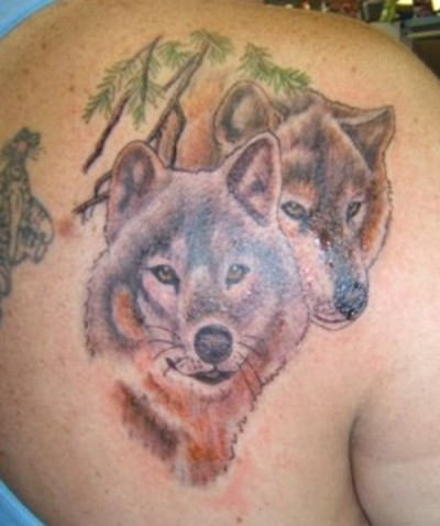 Wolf Tattoo on Back