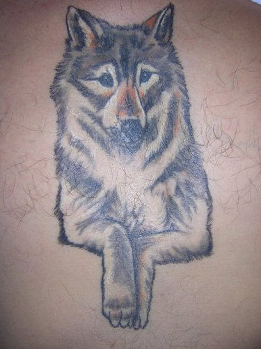 Simple Wolf Tattoo