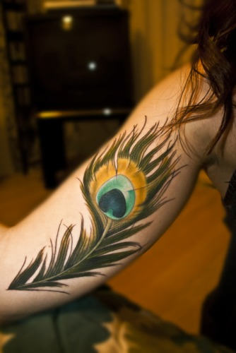 Peacock Feather Tattoo on Arm