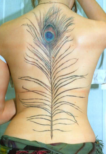 Peacock Feather Tattoo on Back