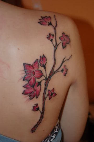 Blossoms Tattoo On Back