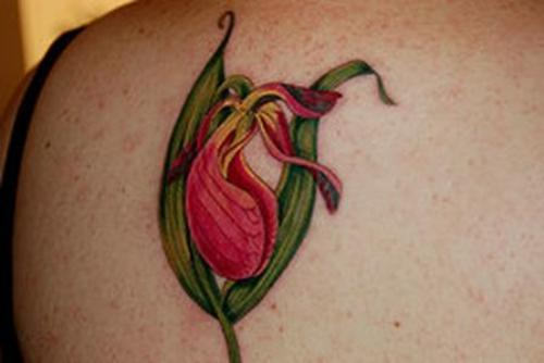 Orchid Tattoo