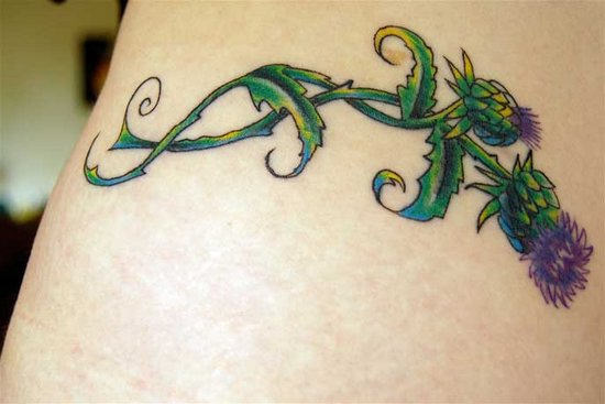 Scottish Flower Tattoo