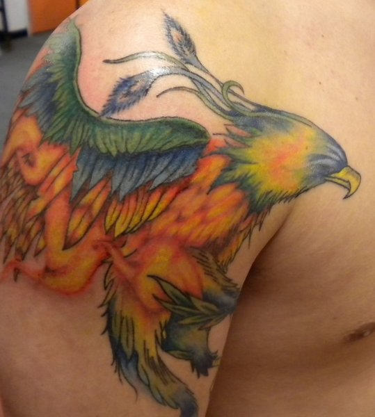 Colorful Phoenix Tattoo On Arm