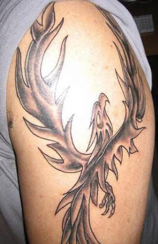 Phoenix Tattoo On Arm