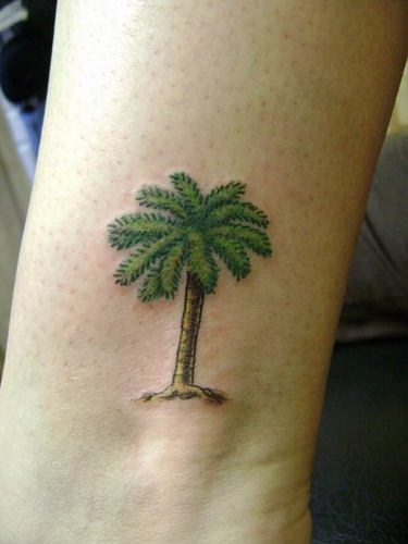 Tiny Palm Tree Tattoo On Ankle