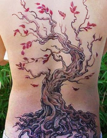 Red Leaf Tree On Back