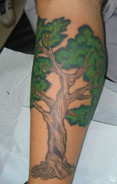 Graceful Tree Tattoo