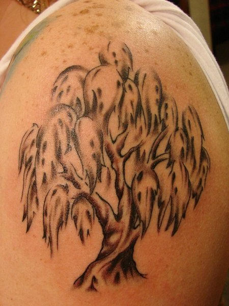 Nice Tree Tattoo On Shoulder