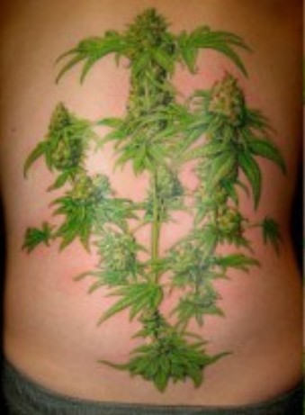 Weed Tree Tattoo