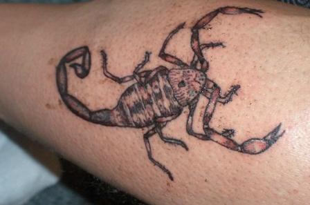 Scorpion Tattoo Design Picture