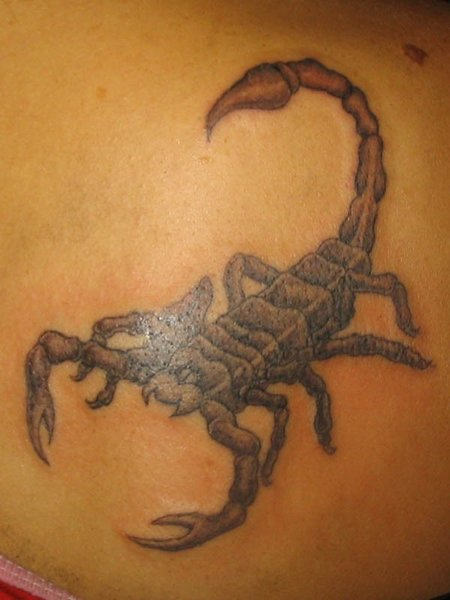 Scorpion Tattoo Picture