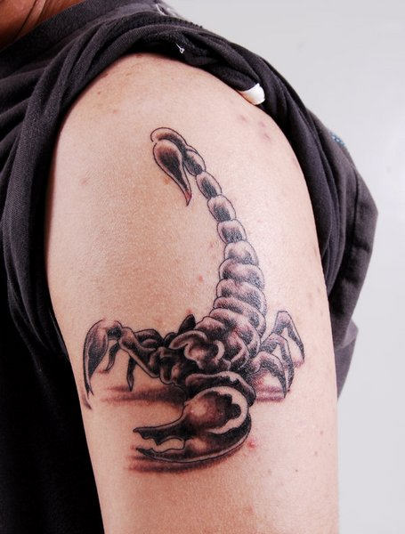 Scorpio Tattoo on Bicep