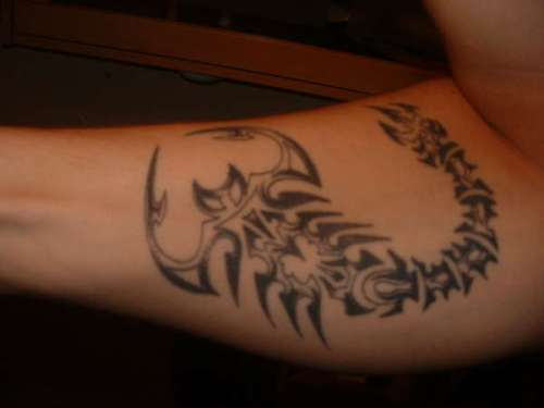 Scorpio Tattoo Design on Forearm