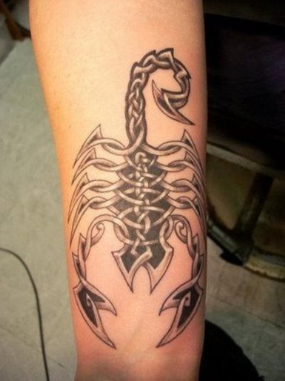 Celtic Style - Scorpion Tattoo