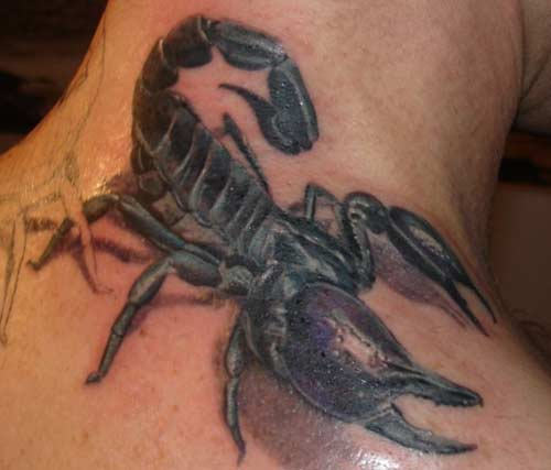 Scorpion Tattoo Image