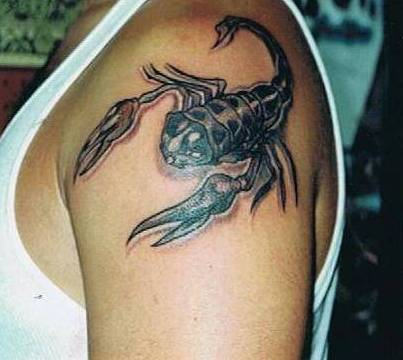 Scorpion Tattoo Design on Shoulder