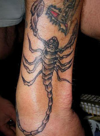 Scorpion Tattoo