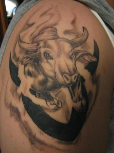 Bull Tattoo on Arm