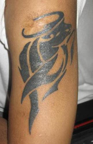 Taurus Tattoo on Arm