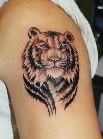 Tiger Tattoos