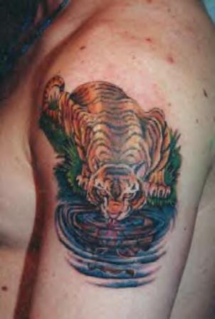 Tiger Tattoos