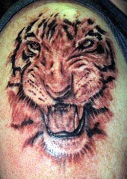 Tiger Tattoos