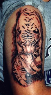 Tiger Tattoos