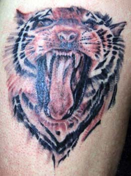 Tiger Tattoos