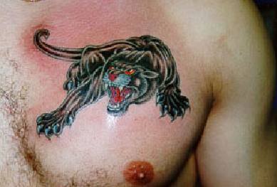 Tiger Tattoos