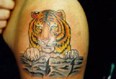 Tiger Tattoos