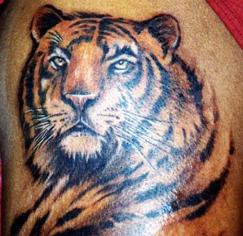 Tiger Tattoos