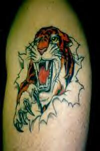 Tiger Tattoos