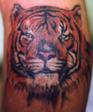 Tiger Tattoos