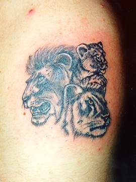 Tiger Tattoos