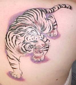 Tiger Tattoos