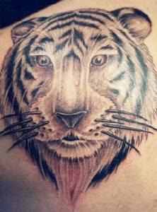 Tiger Tattoos