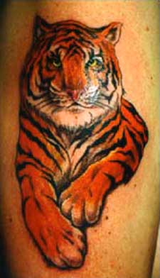 Tiger Tattoos