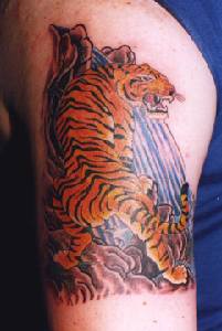 Tiger Tattoos