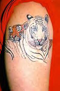 Tiger Tattoos