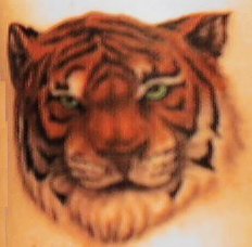 Tiger Tattoos