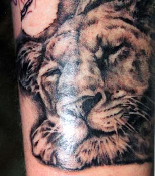 Tiger Tattoos