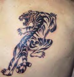 Tiger Tattoos