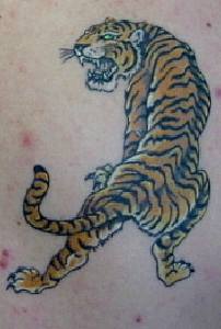 Tiger Tattoos