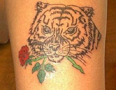 Tiger Tattoos