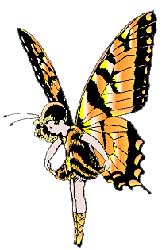 Butterfly Tattoo #81